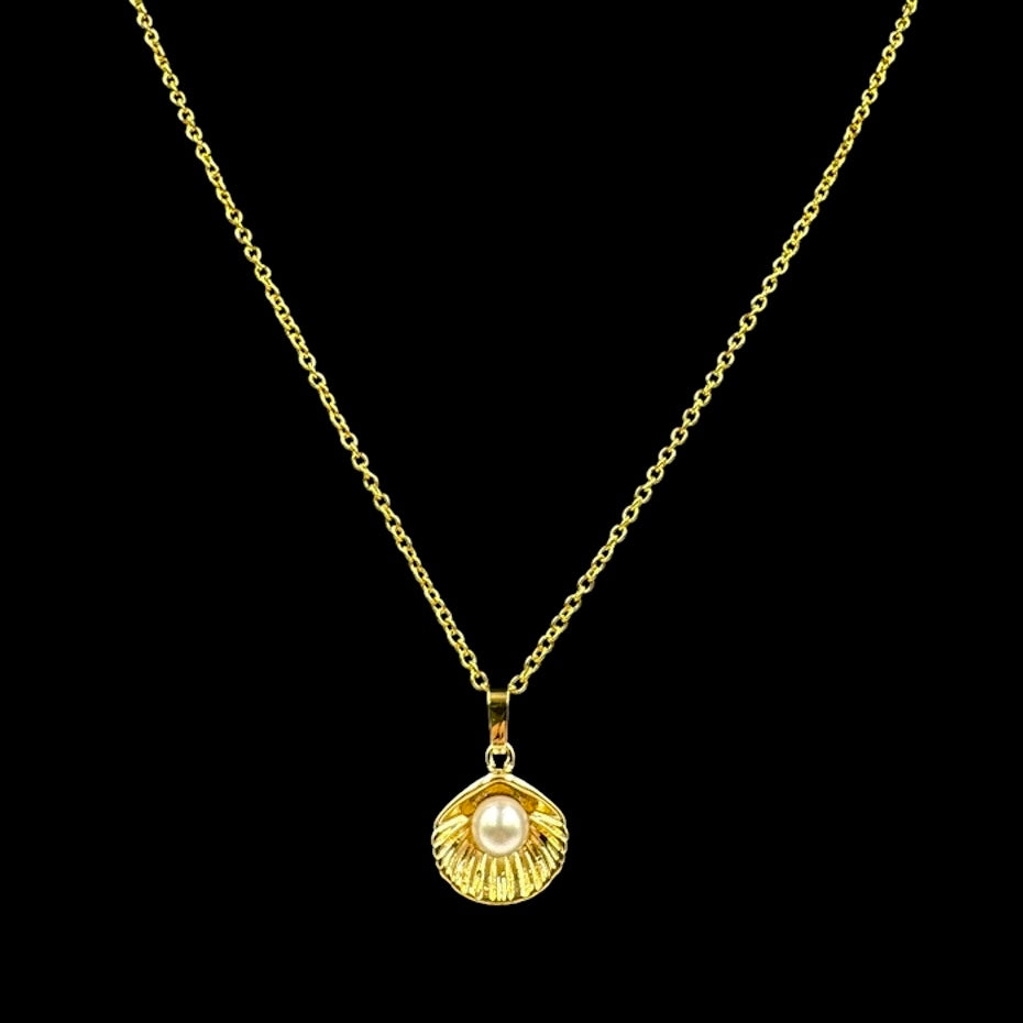 Venus Shell Necklace