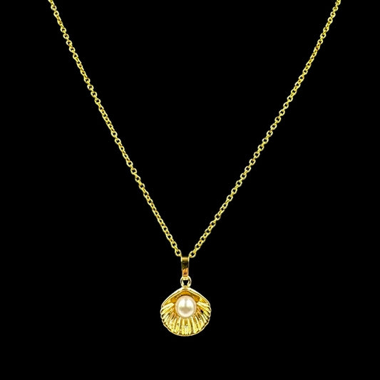 Venus Shell Necklace
