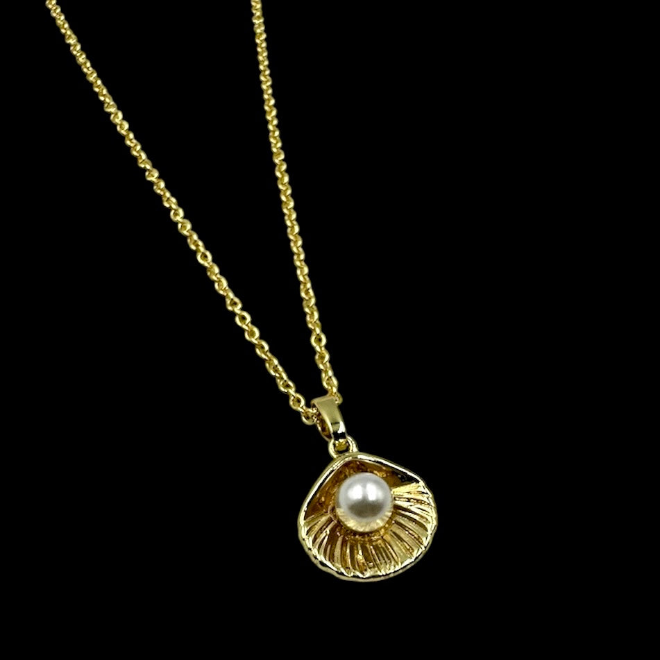 Venus Shell Necklace
